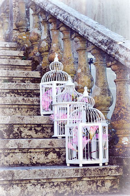 my vintage wedding in portugal gardens