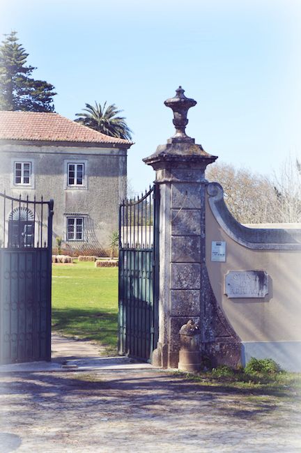 my vintage wedding in portugal gardens
