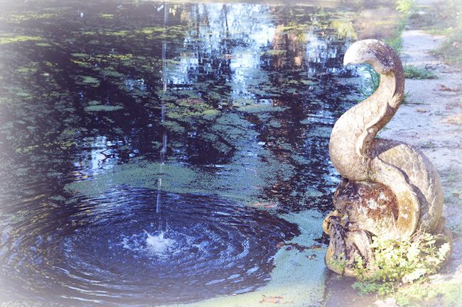 my vintage wedding in portugal gardens