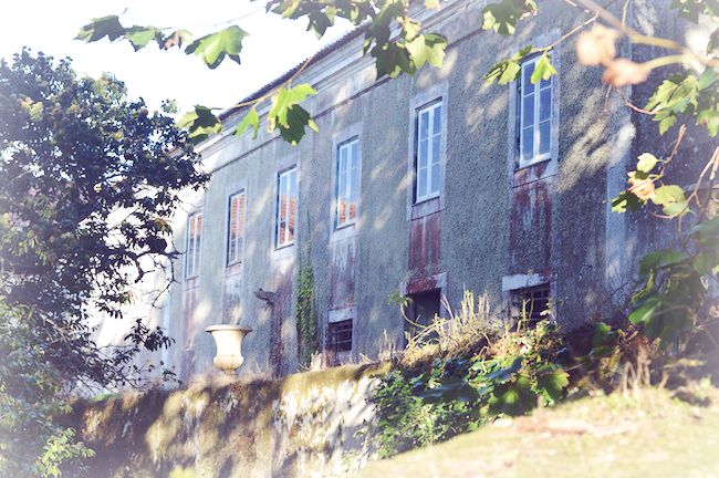 my vintage wedding in portugal gardens