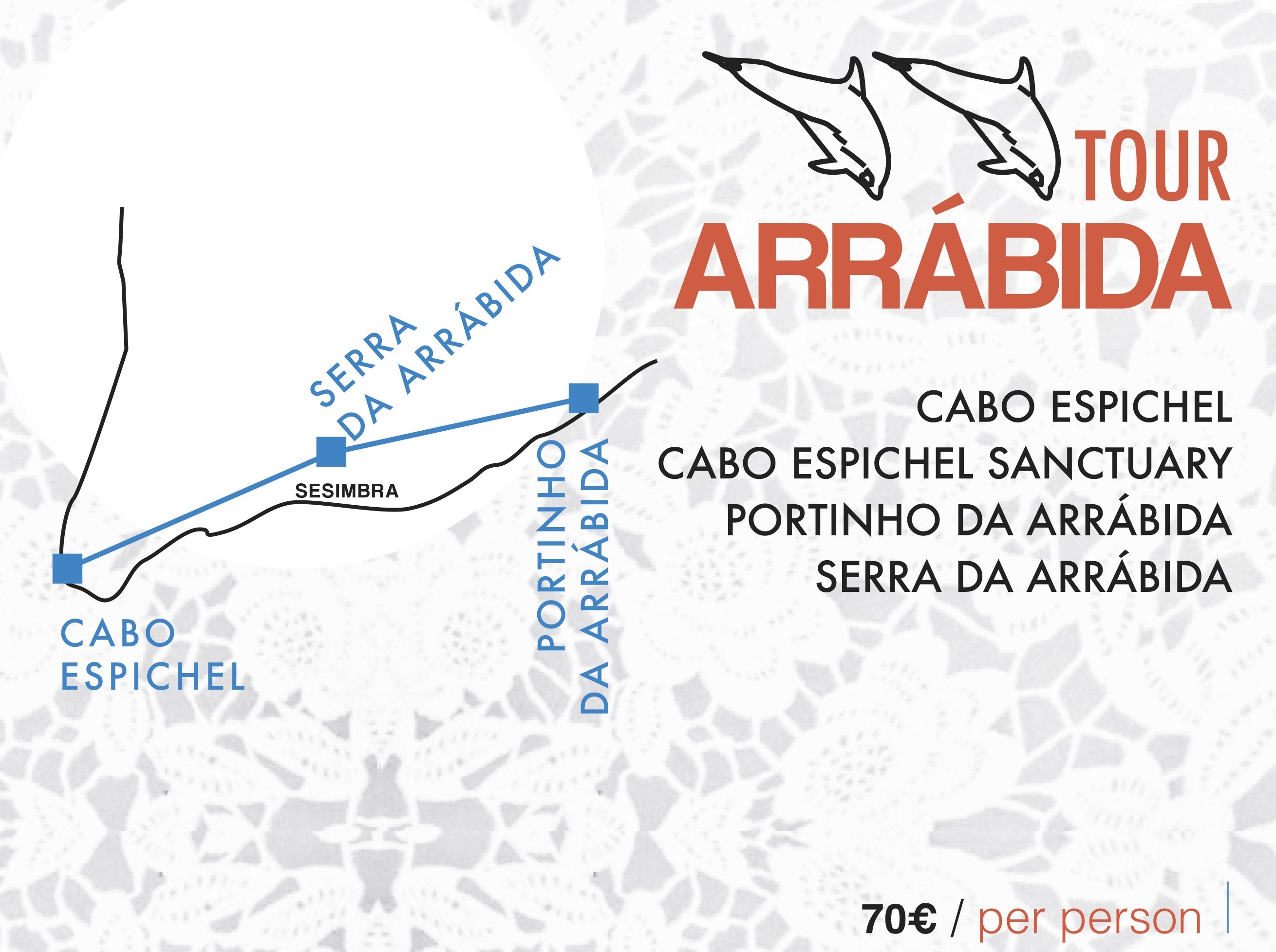 tour arrabida wedding in portugal